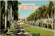Cartão postal vintage tropical saudações da Flórida Royal Palm Trees Walkway Park comprar usado  Enviando para Brazil