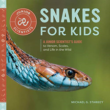 Snakes kids junior for sale Snakes kids junior for sale  ROSSENDALE