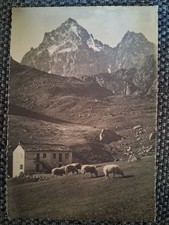 monviso usato monviso usato Torre Canavese