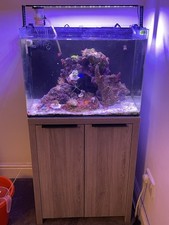 Marine tank setup for sale  ASHFORD