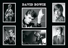 David bowie multi for sale  UK