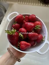 Strawberry seeds homegrown for sale  Copperas Cove