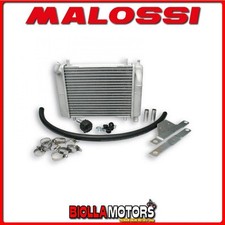 7115506 malossi mhr d'occasion  Expédié en Belgium