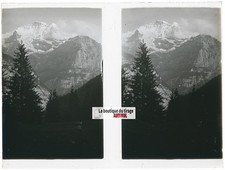 Forêt alpine alpes d'occasion  Grenade