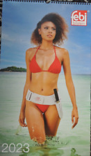 Febi bilstein calendar gebraucht kaufen Febi bilstein calendar gebraucht kaufen  Deutschland