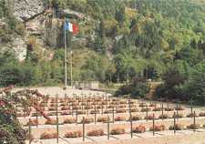 Thones morette military d'occasion  Expédié en Belgium