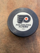 Flyers ducks lighting for sale  Scottsdale