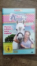 Dvd pferd amika gebraucht kaufen  Rehden