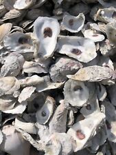 Oyster shell lot for sale  Beaufort