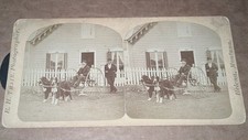Helena montana stereoview for sale  Jefferson
