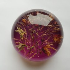 Lucite paperweight meadow for sale  OXFORD