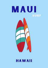 Maui surf hawaii for sale  USA