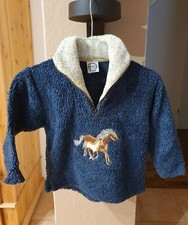 Pullover peter trachten gebraucht kaufen Pullover peter trachten gebraucht kaufen  Northeim