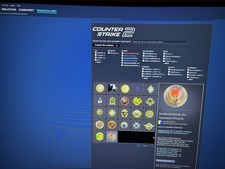 Cs2 account medaillen gebraucht kaufen Cs2 account medaillen gebraucht kaufen  Hannover