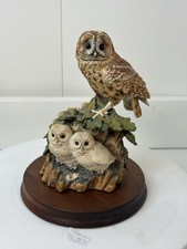 Tawny owl owlets for sale  NORWICH