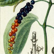 Prints 1816 turpin d'occasion  Expédié en Belgium