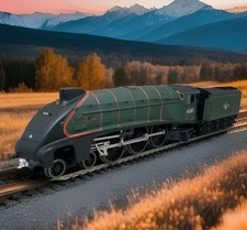 Bachmann silver fox for sale  HARROGATE