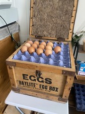 Rare antique egg for sale  PENRITH