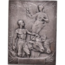 Médaille concours animaux d'occasion  Lille-