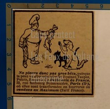 Pelleterie peaux renard d'occasion  Beaumont-de-Lomagne