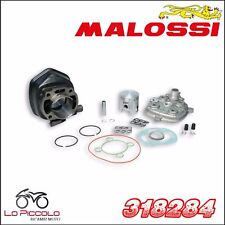Gruppo termico malossi usato  Palermo