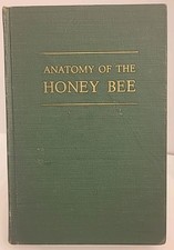 Anatomy honey bee for sale  Silver Spring