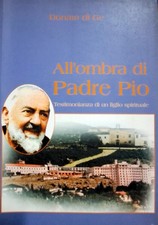 Libro all ombra usato  Civitanova Marche