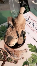 Coppia uccelli serie usato  Italia