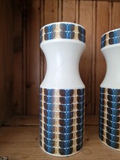 Pair vintage hornsea for sale  BARNSTAPLE