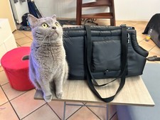 Trasportino borsa cani usato  Torino