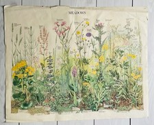 Rare vintage original for sale  DERBY