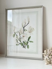 Watercolour magnolia for sale  DORKING