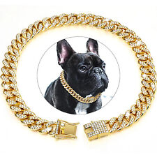 Pet dog cat for sale  Pompano Beach