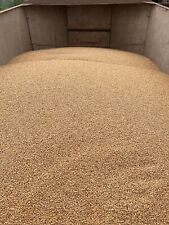 12.5 whole wheat for sale  MALVERN