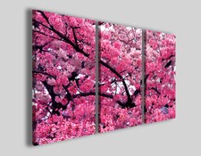 Quadri fiori cheryling usato  Pontecagnano Faiano