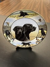 Loyal labs nigel for sale  Tomball