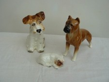 goebel terrier for sale goebel terrier for sale IPSWICH