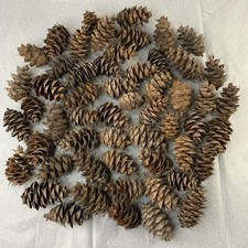 Natural white fir for sale  Ford