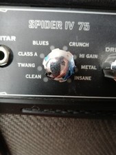 Line six spider for sale  SOUTH SHIELDS