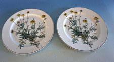 Vintage villeroy boch gebraucht kaufen  Aalen