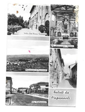 solaia usato  Cuneo