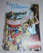 Ames vaillantes 31 d'occasion  Valognes