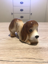 Basset hound pup for sale  SHEFFIELD
