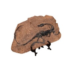 Sinosauropteryx resin dinosaur for sale  LONDON