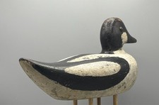 Working goldeneye drake for sale  Franklin