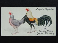 No18 old english for sale No18 old english for sale  UK