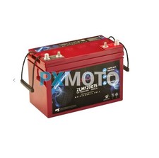 Zenith batteria 100 usato  Ostuni