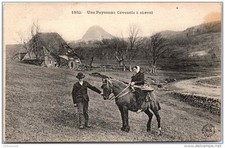 Cevennes peasant horseback d'occasion  Expédié en Belgium
