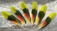 Matched set green for sale  Rochelle