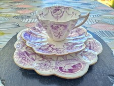 Shelley foley wileman for sale  PAIGNTON